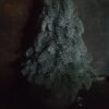Kunst Nobilis 30cm