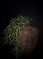 Bolle bruine pot
