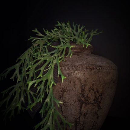 Bolle bruine pot