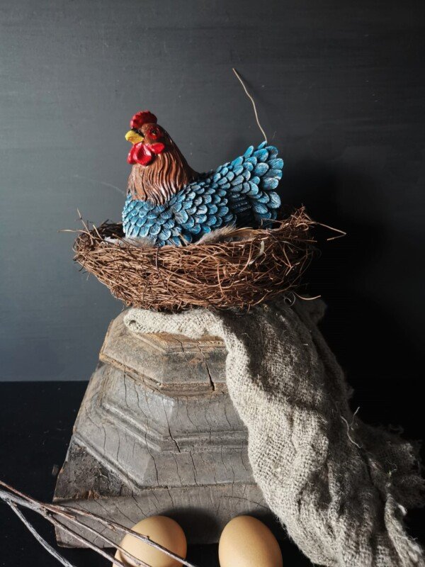 Broedende kip op nest in landelijke setting