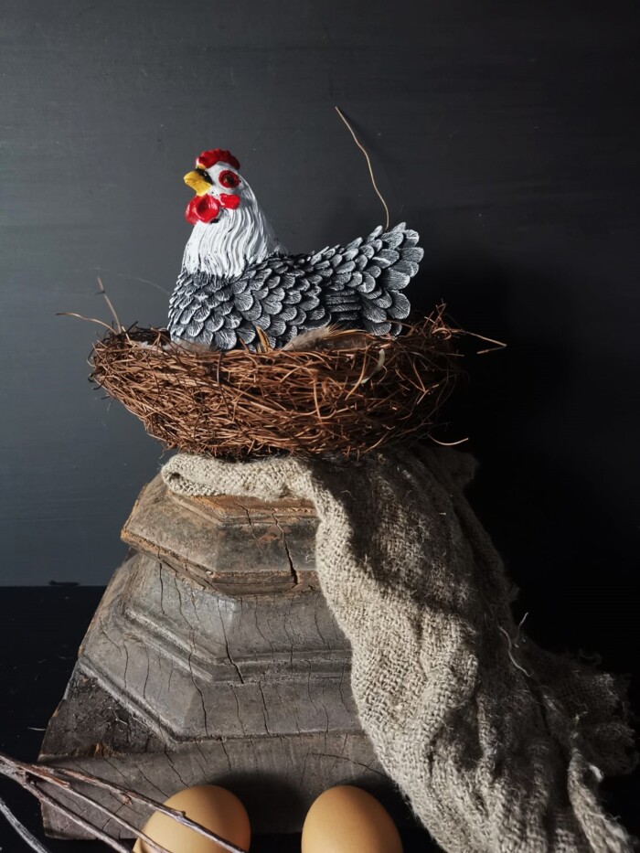 Broedende kip in een Salim nest op een oude houten poer met shabbydoek