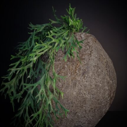 Bruine vensterbank pot 35cm
