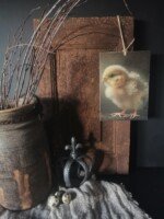 Deco bordje kuikentje aan een oud deurtje