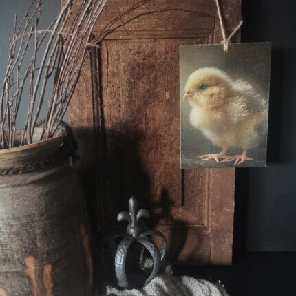 Deco bordje kuikentje aan een oud deurtje