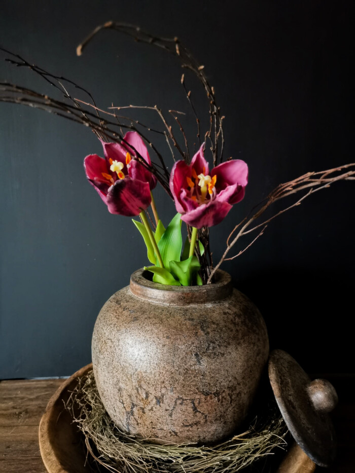 Enkele open tulp aubergine 48cm met pot in een houten schaal