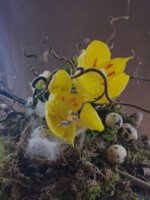 Enkele open tulp yellow 48cm