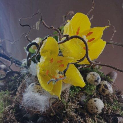 Enkele open tulp yellow 48cm