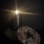 sobere krans met tillandsia