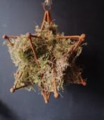 Kersthanger roest ster gevuld met mos