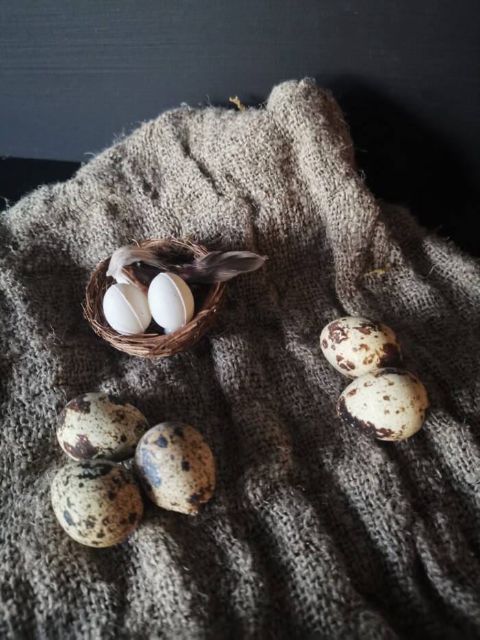 Nest met vogeltje op een linnen doek met kwarteleieren