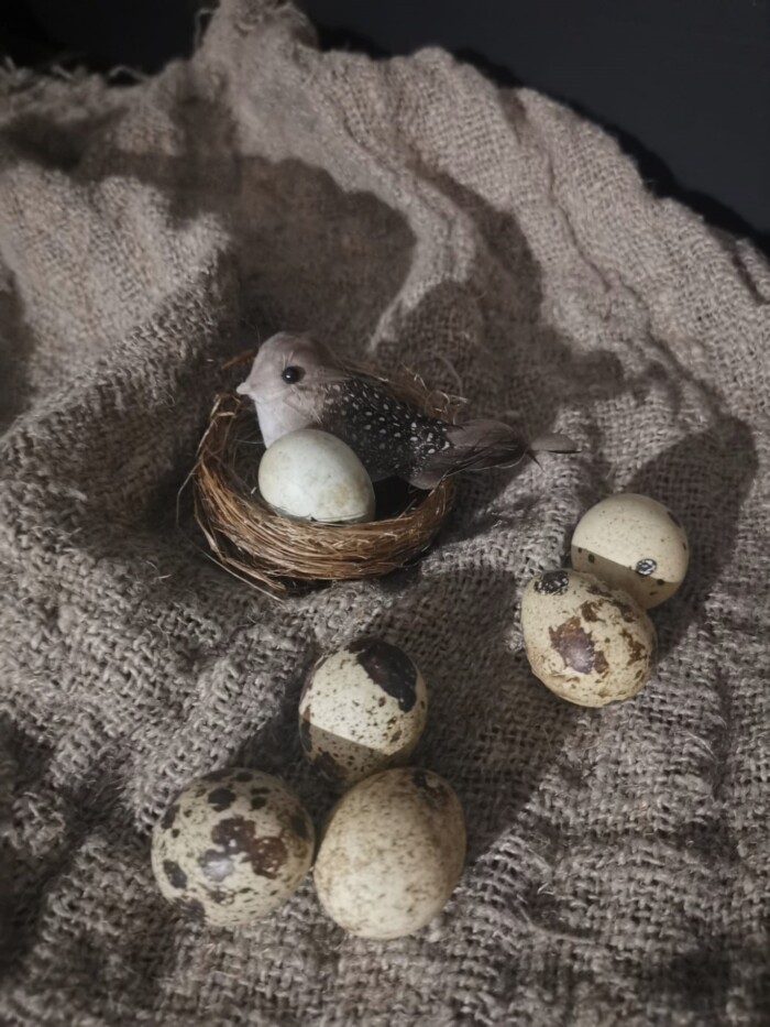 Nest met vogeltje
