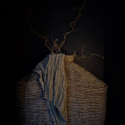 Oude vis leemmand