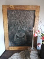 Tuinposter Schotse hooglander met houten pot en kunsttulpen