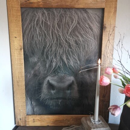 Tuinposter Schotse hooglander met houten pot en kunsttulpen