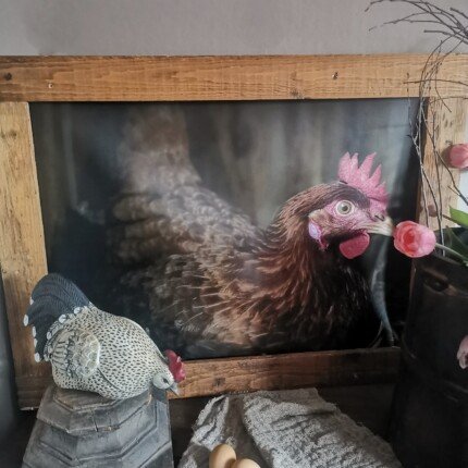 Tuinposter kip