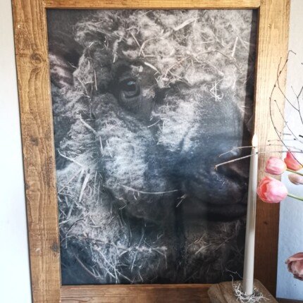 Tuinposter schaap met stro met oude poer kandelaar en real touch tulp