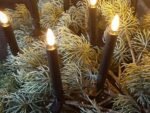 Zwarte klem LED kerstboomkaars in dennengroen van het merk countryfield
