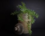 Bruine houten pot met deksel S - Afbeelding 5