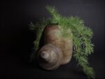 Bruine houten pot met deksel S - Afbeelding 4