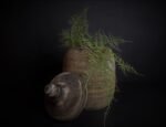 Bruine houten pot met deksel S - Afbeelding 3