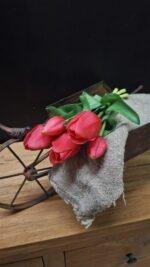 Enkele tulp fuchsia 35cm
