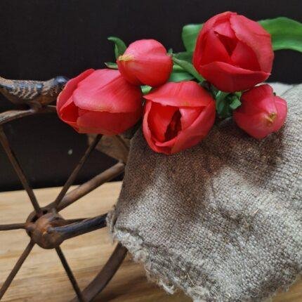 Enkele tulp fuchsia 35cm