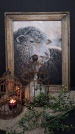 Houten schilderij schaap