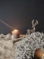 Kranshouder Deer