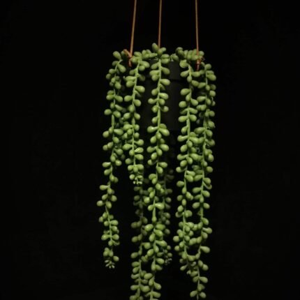 kunstplant