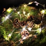 LED lichtsnoer sterren