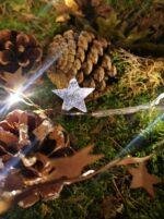 LED lichtsnoer sterren