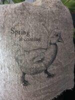 Shabby doekje lente eend foto 2