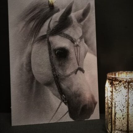 Wanddecoratie met paard