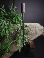Zwarte metalen kandelaar M