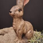 Bruine zittende haas