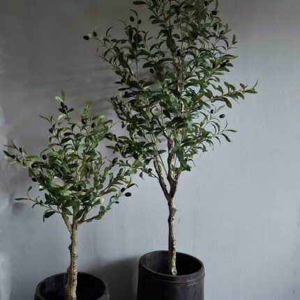 Kunst olijfboom