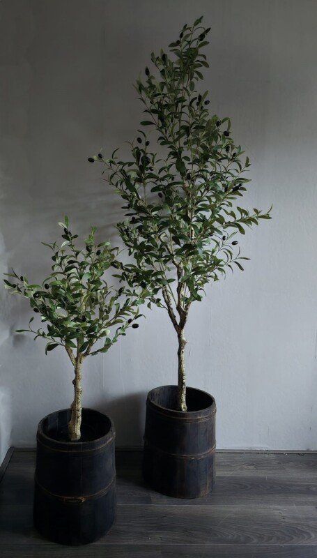 Kunst olijfboom