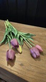 Enkele tulp paars