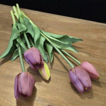 Enkele tulp paars