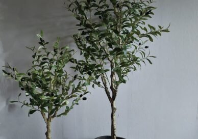 Kunst olijfboom
