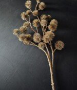 Brynxz Kunsttak Chestnut