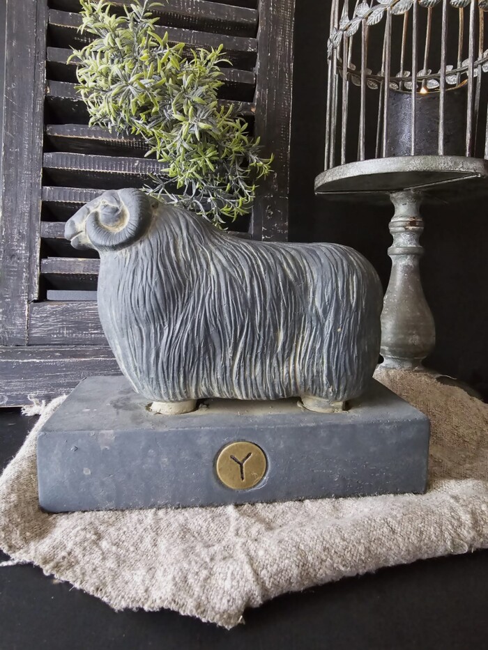 Brynxz sheep with horn