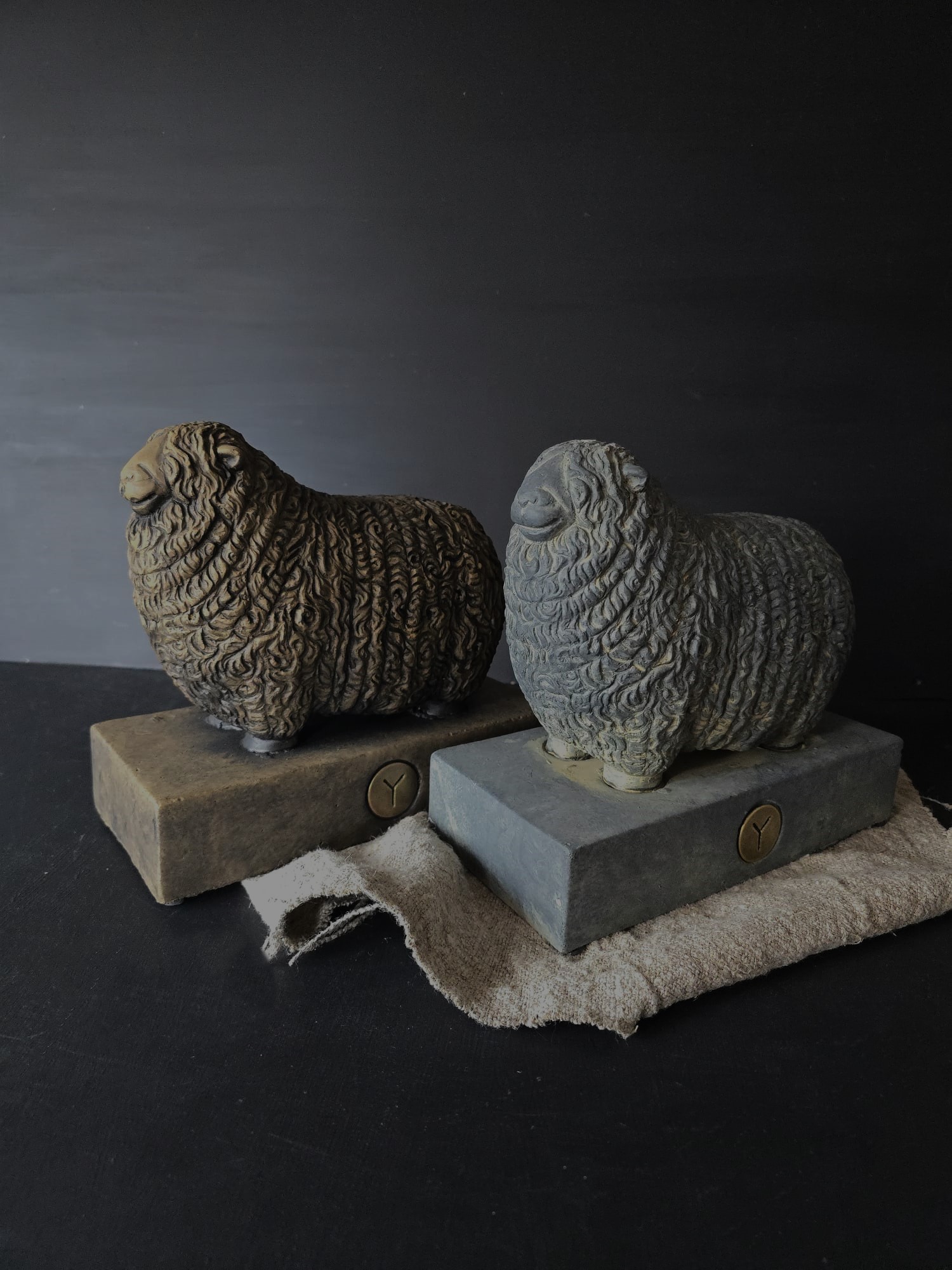 Brynxz sheep wool