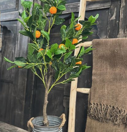 Kunst Citrus sinasappelboom in emmer met een decoratietrap