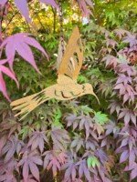 Roestige boomhangers tussen de Japanse es