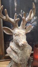 Rendierkop Beeld 49cm – Stoere Landelijke Decoratie voor Herfst en Winter