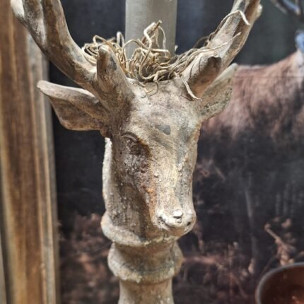 Rendier decoratie met gewei en landelijke uitstraling, perfect voor winter