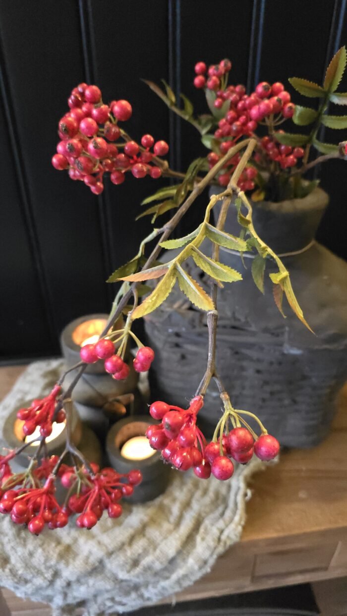 Pyracantha L rood - Afbeelding 1