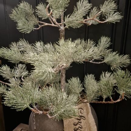 Pinus in jute zak 72cm met shabby lint