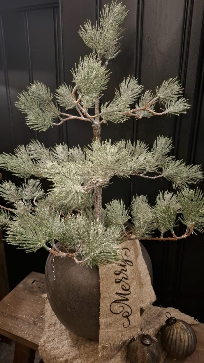 Pinus in jute zak 72cm met shabby lint